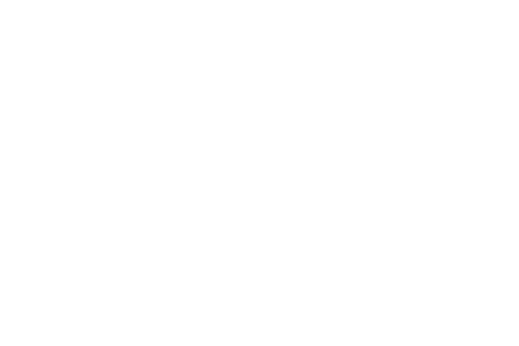 Dr. Wholistic logo
